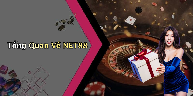 Tổng Quan Về NET88